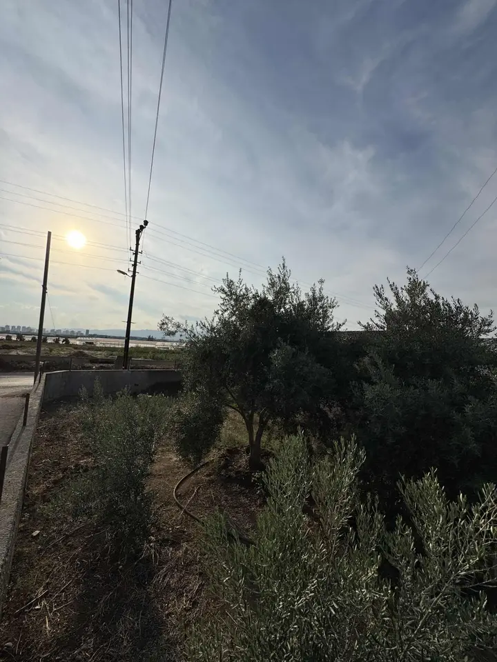 BEKİRDEDE MAHALLESİNDE SATILIK 472m2 KÖŞE BAŞI ARSA - fotoğraf 4