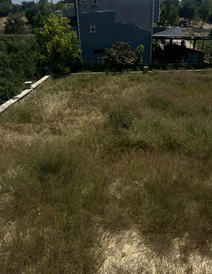 BULUKLU KÖYİÇİNDE 753 M² NARENCİYE BAHÇESİ - fotoğraf 4