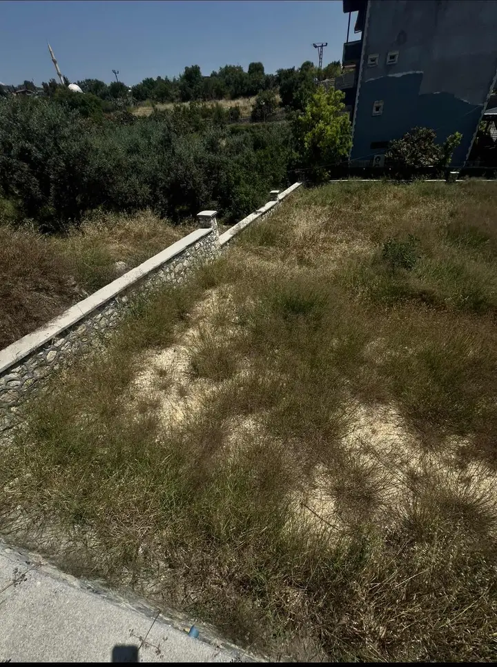 BULUKLU KÖYİÇİNDE 753 M² NARENCİYE BAHÇESİ