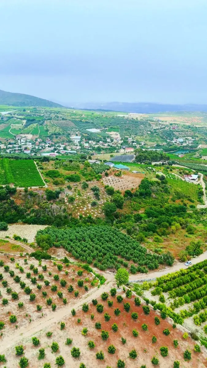MRS GAYRİMENKULDEN ÇELEBİLİDE 4500M2 DENİZ+ŞEHİR MANZARALI TARLA - fotoğraf 5