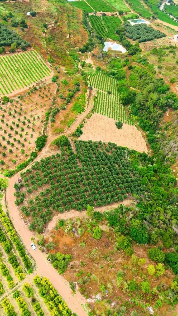MRS GAYRİMENKULDEN ÇELEBİLİDE 4500M2 DENİZ+ŞEHİR MANZARALI TARLA - fotoğraf 3